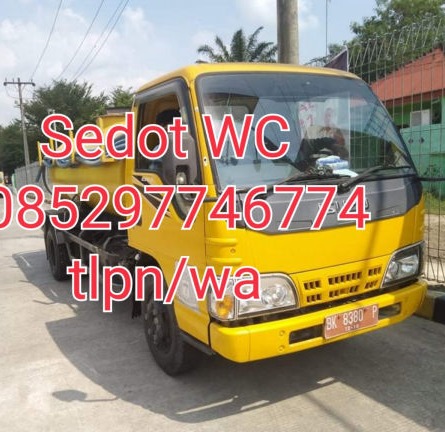 sedot wc binjai