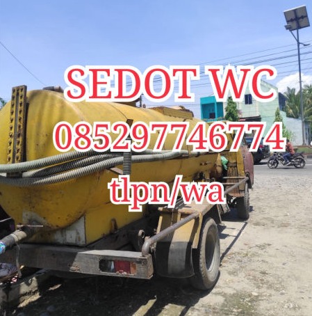 sedot wc mampet binjai